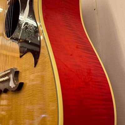 Gibson 2024 DOVE Original (Doctor Sound Stock Item) image 5