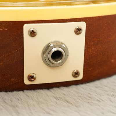 2014 Gibson Billy Gibbons Pinstripe Les Paul Goldtop, Aged / Signed image 24