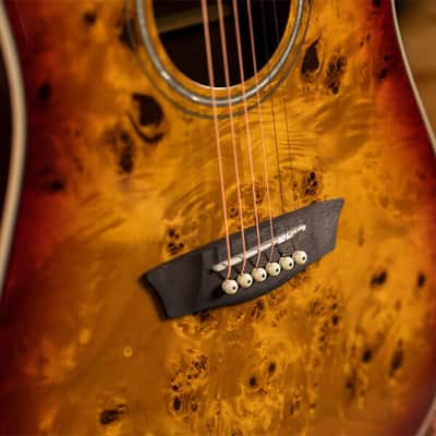 Washburn DFBDA Deep Forest Burl Collection Dreadnought Acoustic Guitar-Amber Fade Gloss image 12