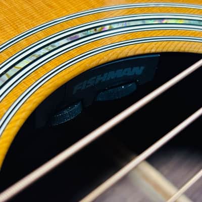 Martin Standard Series D-45 2008 Fishman image 19