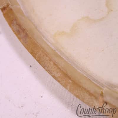 Slingerland Tom Tom 13"Genuine Calf Skin Drum Head Batter Vintage 60s Sound King image 5