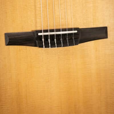 Taylor 214ce-N Nylon Grand Auditorium Acoustic/Electric Guitar with Gig Bag image 7