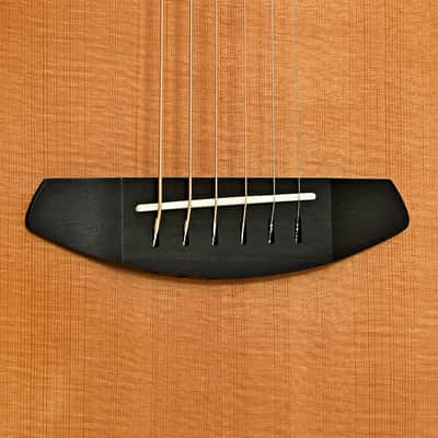 Breedlove Premier Concerto Copper CE Acoustic Electric Guitar image 5