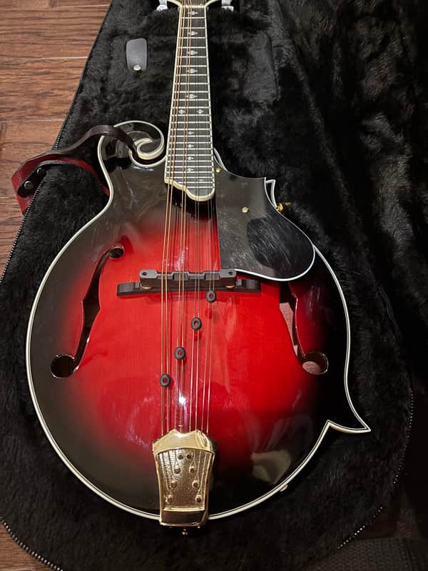 Washburn M3SWETWRK-D