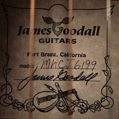 Goodall Mahogany Concert Jumbo Guitar #6199 image 2