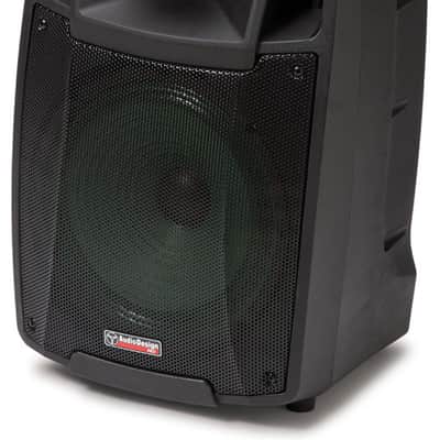 Audiodesign Pro M2 12W/L - Cassa Attiva a Batteria con 2 Radiomicrofoni UHF image 2