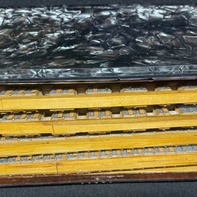 Vintage 120 Bass Full Size Harmonium Piano Accordion Black MOP With Case image 12