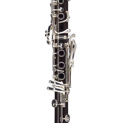 Buffet Crampon Festival BC1239LN-2-0P En La image 5