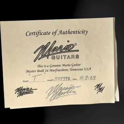 Mario Martin T-Style 2024 - Avocado Mist - Budz - MM 543 Pickups. NEW, (Authorized Dealer) image 9