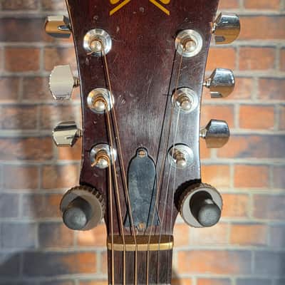 USA Vintage 1978 Guild D-25M Mahogany Brown w/ OHSC image 3