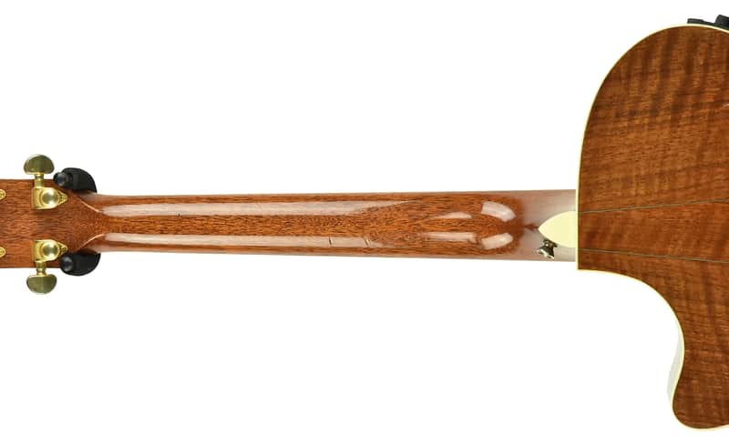 Taylor W14ce image 10