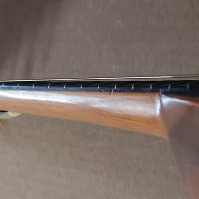 Rare Schwarzer Model 120 "Echo" bowl back mandolin Circa 1900 image 18