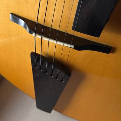 Eastman PG2 Pagelli Archtop 17" image 6