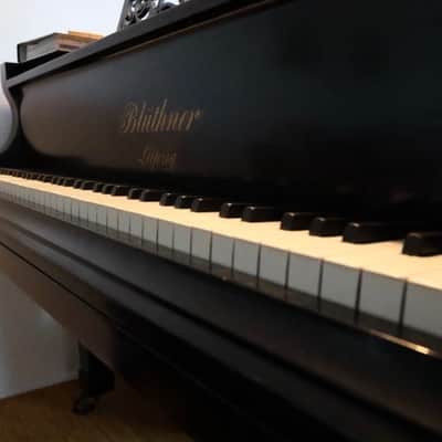 Blüthner Modell-6 1898 - Schwarz image 9