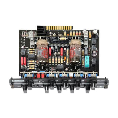 SYNERGY Friedman BE-DLX Preamp Module image 6