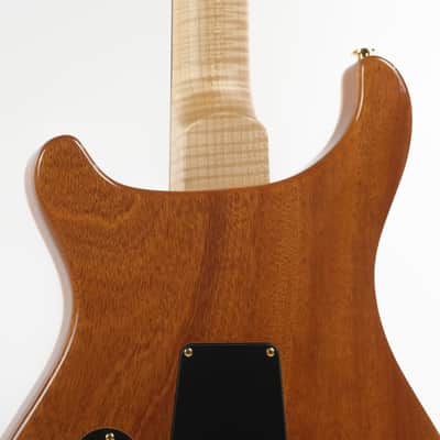 PRS Whale Blue DGT Owned by David Grissom image 12