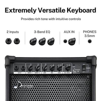 20 Watt Keyboard Amplifier 20 Watt Keyboard AMP Piano AMP image 4