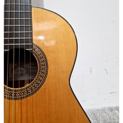 Andrew Whale No. 6 - Acoustic Guitar - Natural - Excellent w/ Hard Case image 10