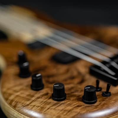 Elrick Handcarved eVolution Gold Series Bass Guitar 2019 - Figured Walnut image 10
