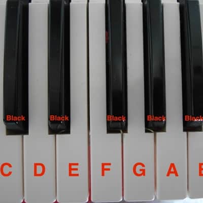 Yamaha Touche Clé DX27 DX 21 CS CE Series DX9 SK20 CS5 Replacement original Key