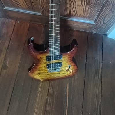 Washburn X Series Guitar (Signed by "Lacuna Coil") image 3