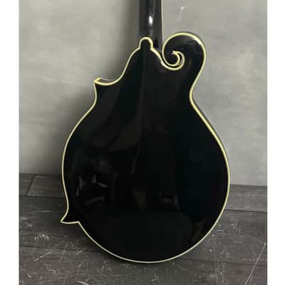 Michael Kelly Dragonfly Mandolin F-style Acoustic Electric image 3