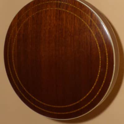 Gibson TB-4 Conversion 1929 image 3