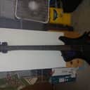Spector Rex4 2014 Holoflash