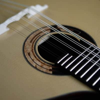 Antonio Huggler 10-String Mandolin | Brazil image 7
