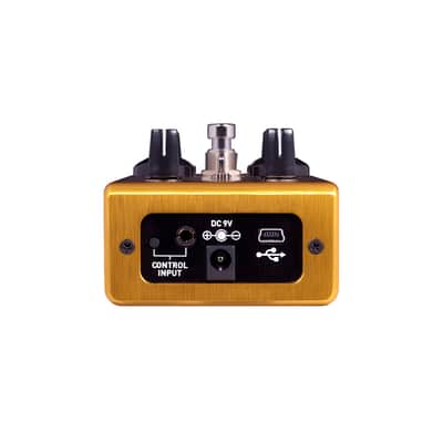Source Audio LA Lady Overdrive 2010s - Gold image 3