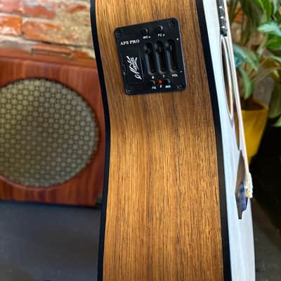 Maton Solid Road Series SRS70C 2000s image 4