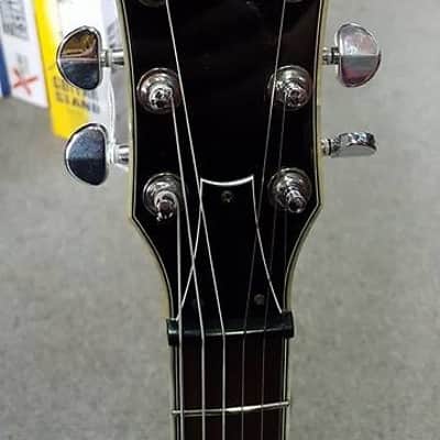 Ibanez Darkstone DN500 image 2