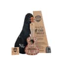 Kala Mandy Harvey Learn To Play Signature Series Tenor Ukulele