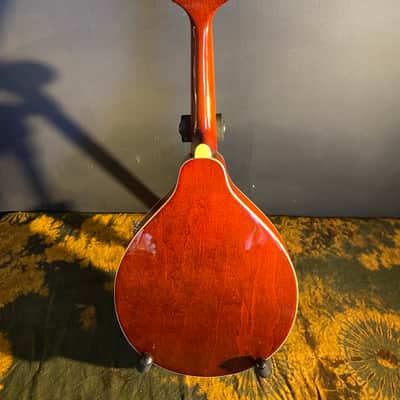 Alvarez A-100 Mandolin w/ TKL Hardcase image 7