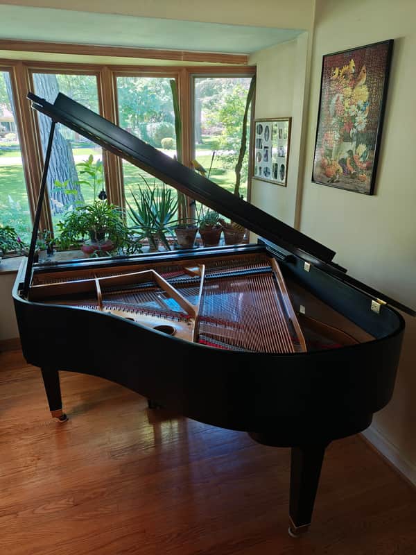 Wurlitzer C153 Mid 1980’s - Ebony image 1