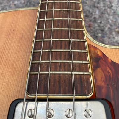 Hofner President 1964 - Natural Flammed 2 Pickups image 10