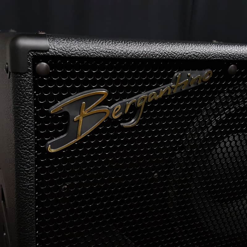 Bergantino Reference 2x10 REF210 Bass Cabinet | Reverb