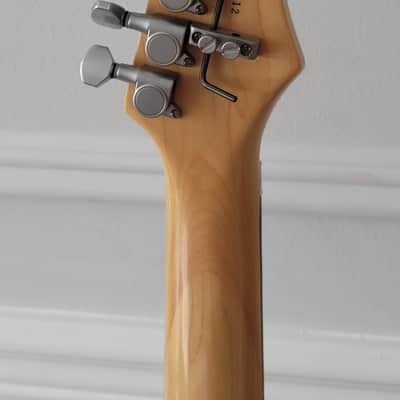 Super Rare Samick Artist Series 29 Fret image 8
