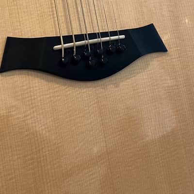 Taylor GT-8 Baritone 8-String Custom Built. image 3