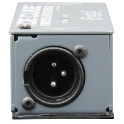 Radial IC-1 IceCube - Isolator image 4