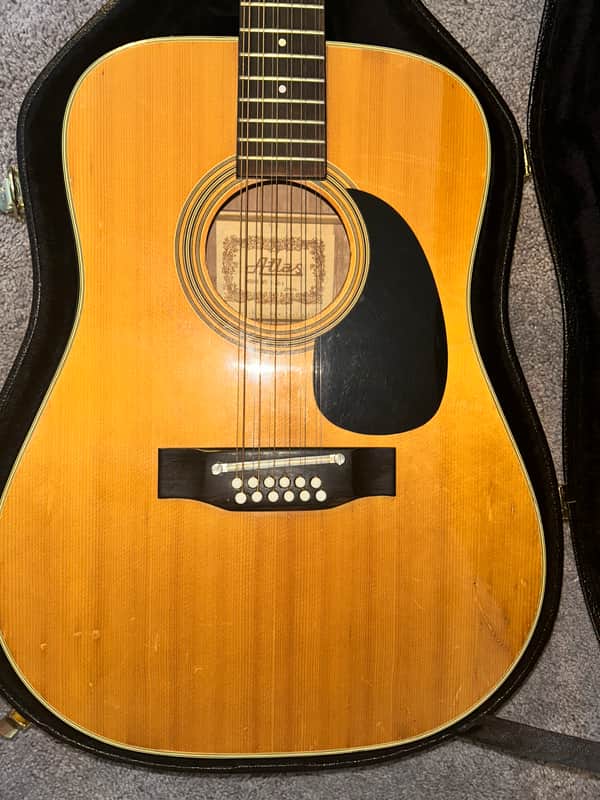 1970s Atlas T-213 12-String Acoustic Made in Japan w/ Hard Case image 1