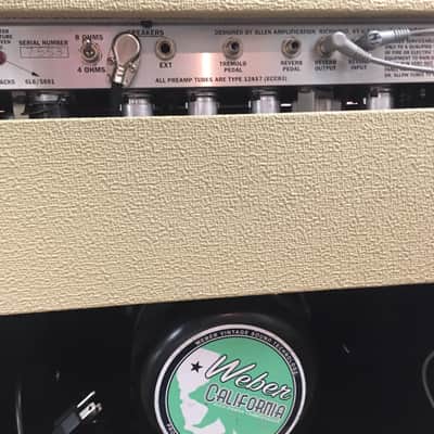 Allen Amplification Encore Series Beige 1X15" image 6