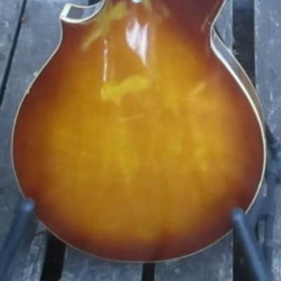 Harmony H-35 "Batwing" electric mandolin image 8