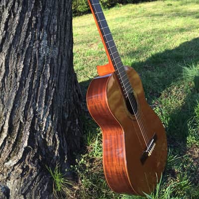 Jose Ramirez R1 Classical Guitar - Solid Cedar Top image 14