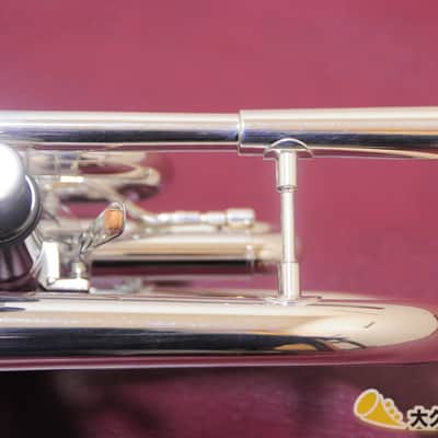 Brasspire Unicorn BPCT-B4S w/Black Nickel Trim (New) B♭Cornet image 14