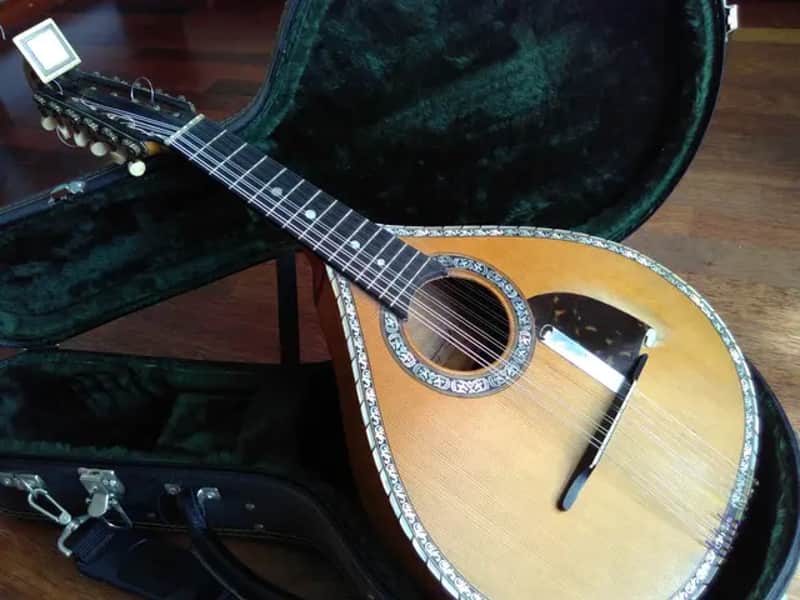 Rare Emanuele Egildo No. 38 Mandolin (1901) – Original Condition with Certificate & Invoice No. 38
