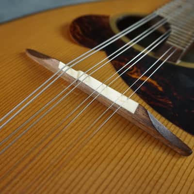 Venezia M-30 Hand Crafted Mandolin image 10