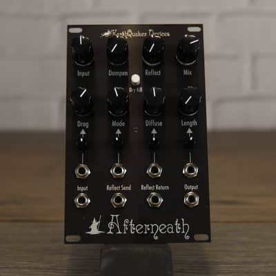 EarthQuaker Devices Afterneath Eurorack Module Otherworldly Reverberator image 1