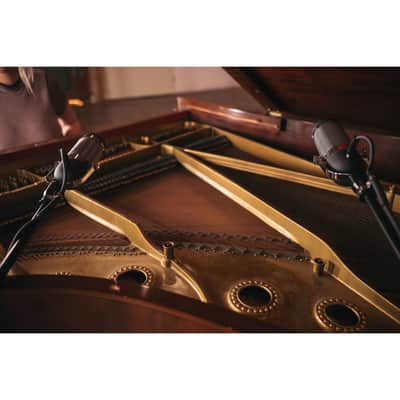 AEA R84 Ribbon Microphone image 3