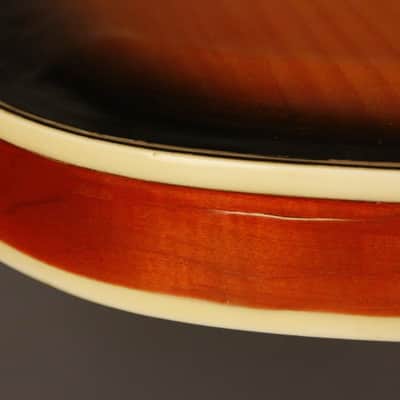 Immagine Ampeg/Burns TR2 solid carved top/back 1963-64 Sunburst - 12